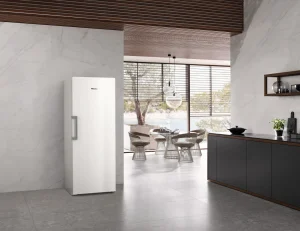 Miele Congelatori Da Posizionamento Libero | FN 4778 C Bianco