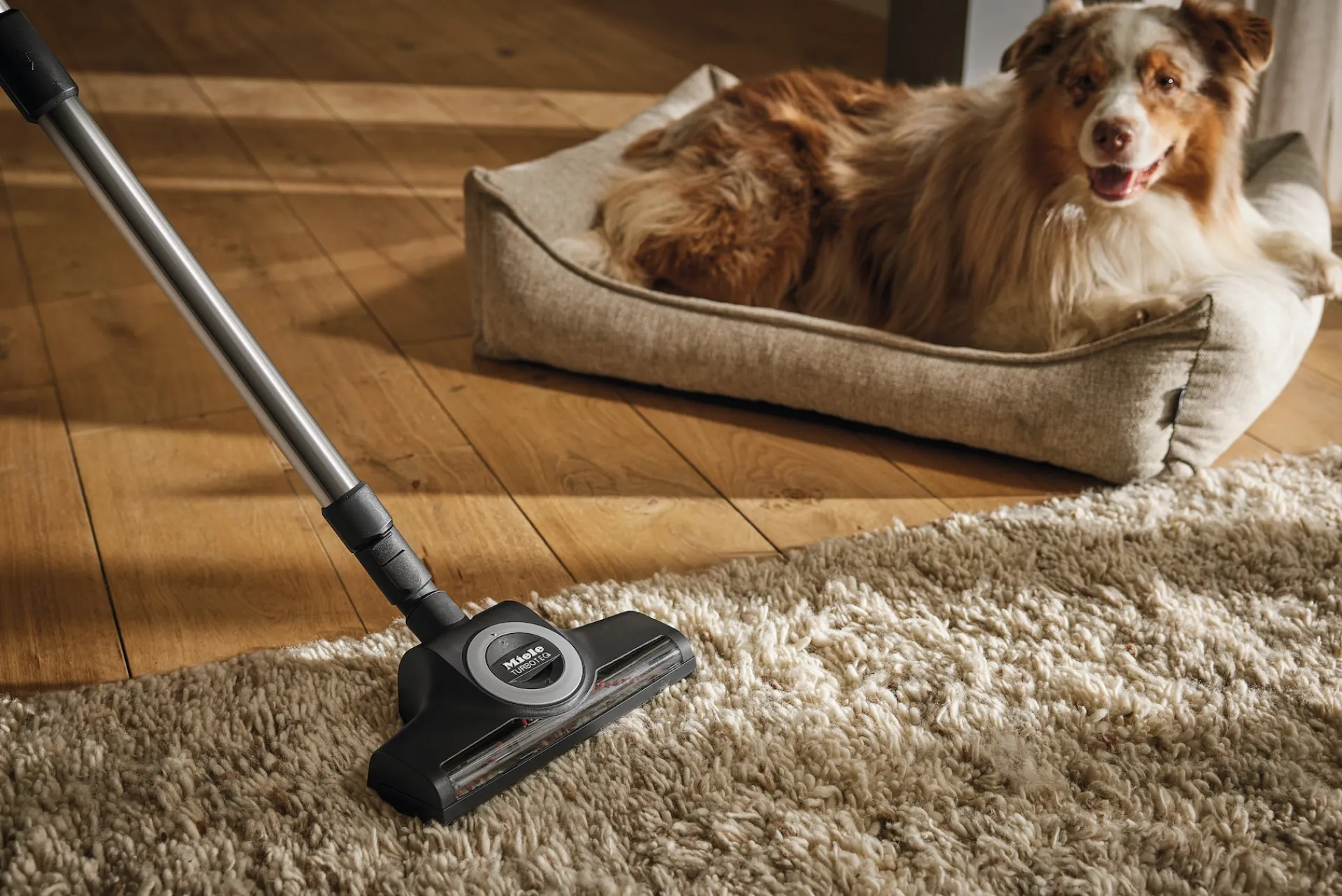 valigetta_accessori_petca_3.webp Miele Accessori Speciali E Kit | Valigetta accessori PetCare